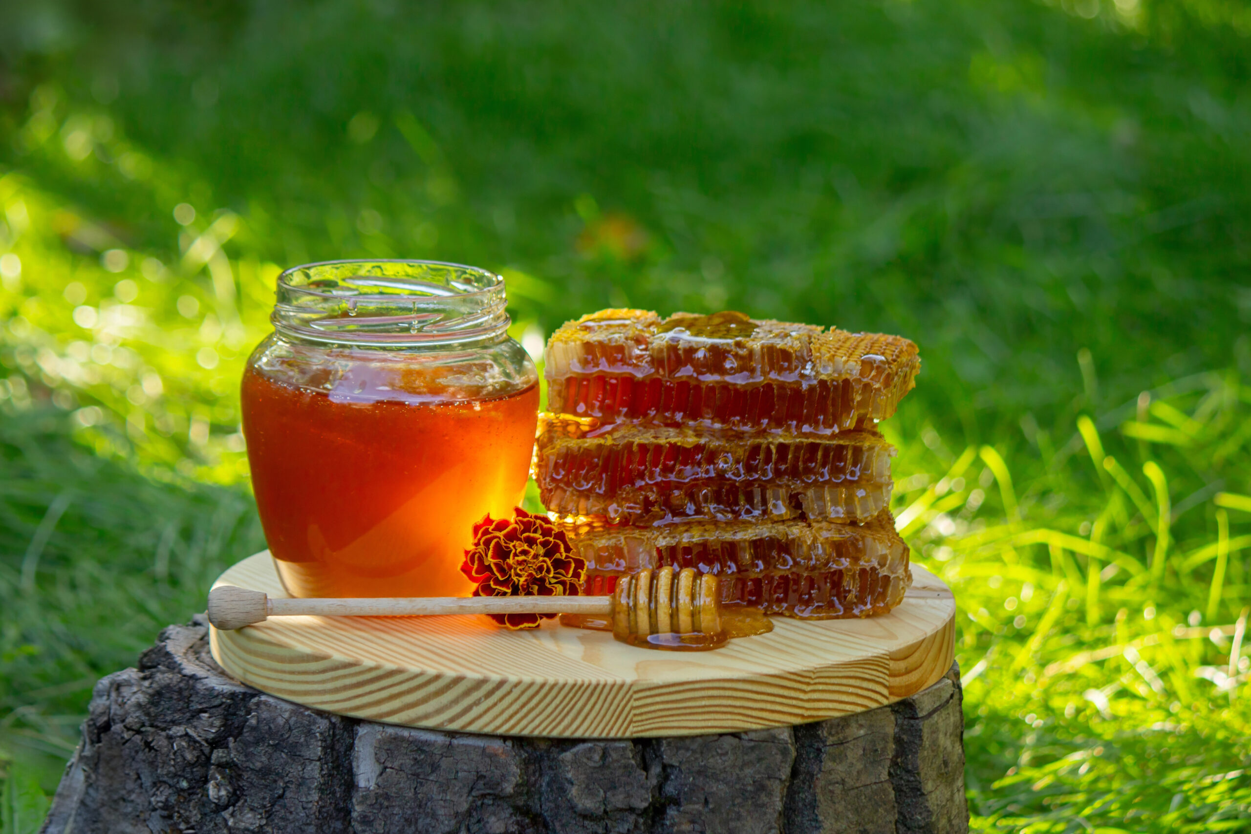 Miel Natural de calidad PG